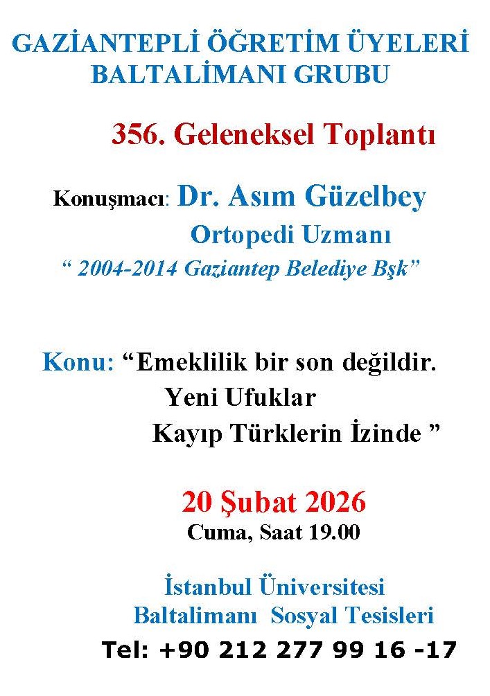 356asmguzel2